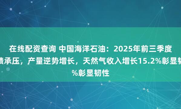 在线配资查询 中国海洋石油：2025年前三季度业绩承压，产量逆势增长，天然气收入增长15.2%彰显韧性