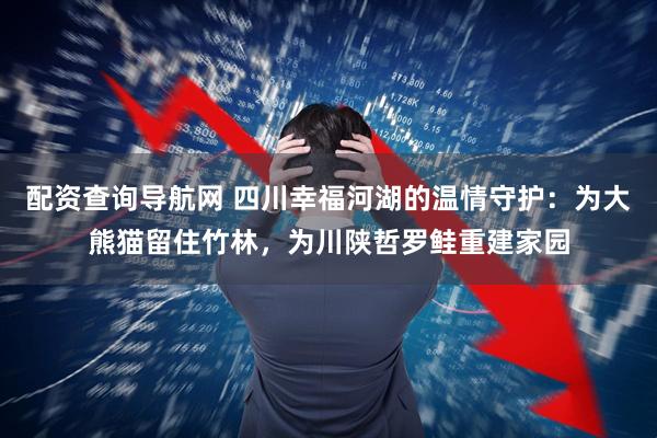 配资查询导航网 四川幸福河湖的温情守护：为大熊猫留住竹林，为川陕哲罗鲑重建家园