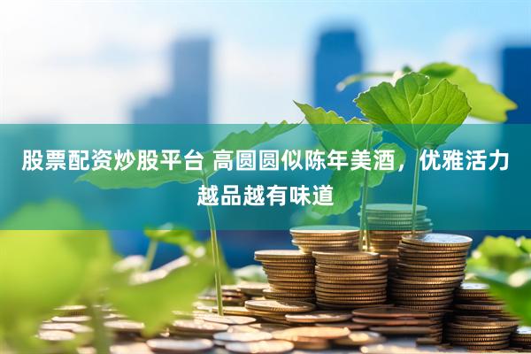 股票配资炒股平台 高圆圆似陈年美酒，优雅活力越品越有味道