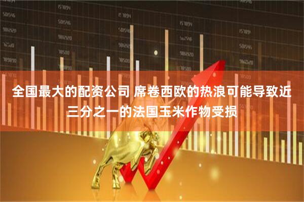 全国最大的配资公司 席卷西欧的热浪可能导致近三分之一的法国玉米作物受损